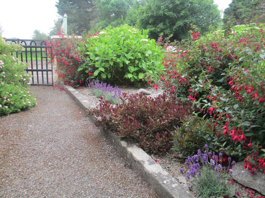 Tralia Farmhouse Self Catering Farranfore Room photo